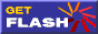 Flash Download